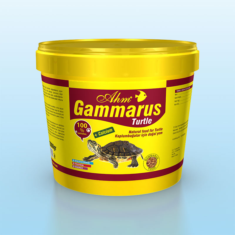 Gammarus Turtle