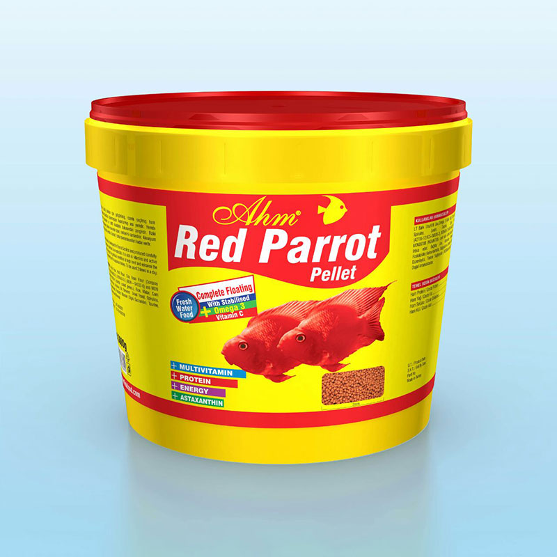 Red Parrot